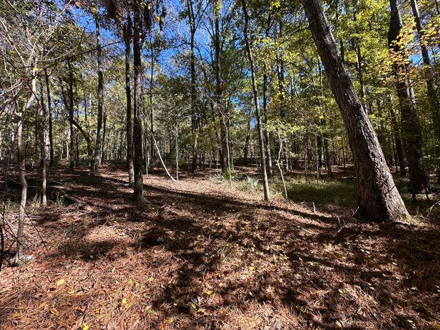 167 Southwind Drive, Mc Cormick, SC 29835