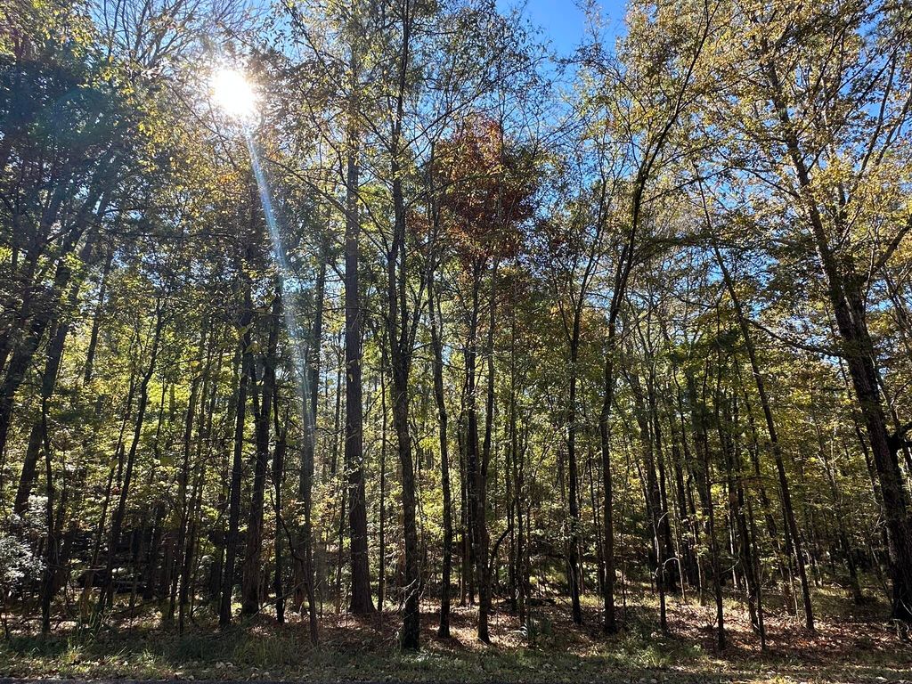 167 Southwind Drive, Mc Cormick, SC 29835