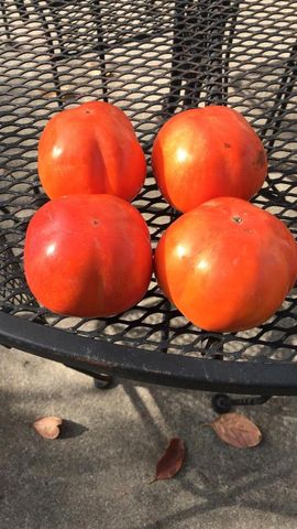 1723 Pheasant Drive, Hercules, CA 94547