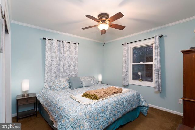 25999 FOX GRAPE RD, Greensboro, MD 21639