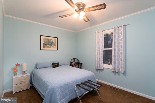 25999 FOX GRAPE RD, Greensboro, MD 21639