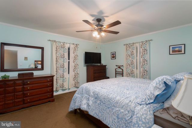 25999 FOX GRAPE RD, Greensboro, MD 21639