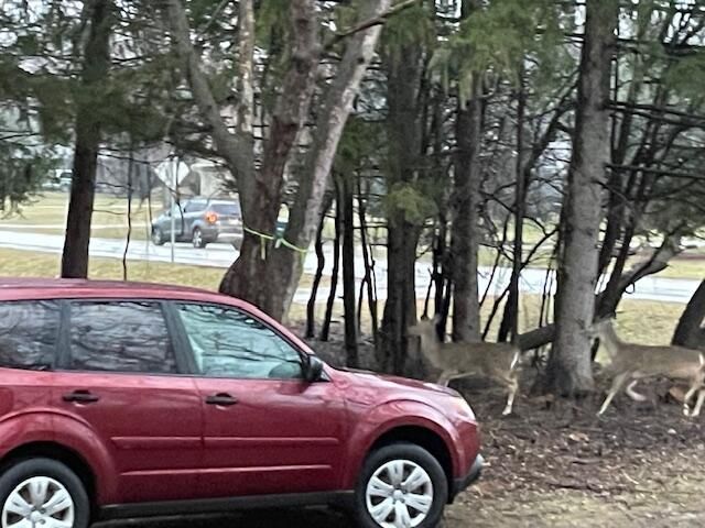 4961 S 92nd STREET, Greenfield, WI 53228