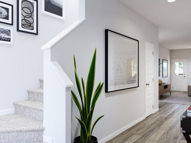 15615 Coneflower Hills Drive, Houston, TX 77090