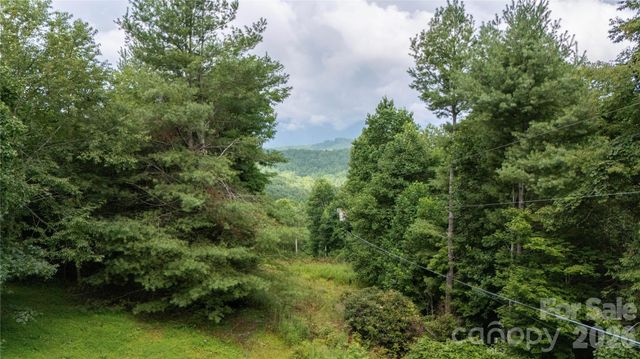 572 Blue Ridge Gem Stone Road, Spruce Pine, NC 28777