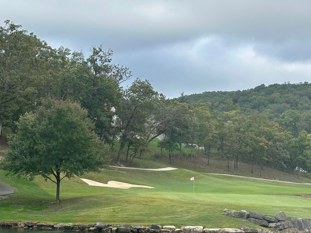 1001 Golf Drive 15, Branson West, MO 65737
