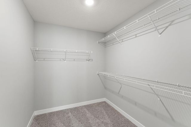 5124 Mustang Circle, Woodbury, MN 55129