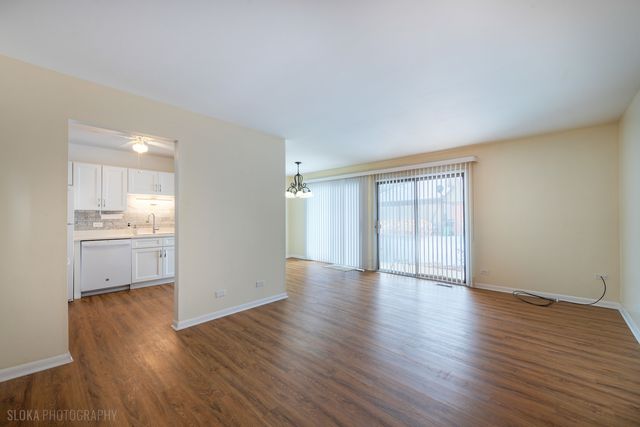 1321 7 Pines Road C1, Schaumburg, IL 60193