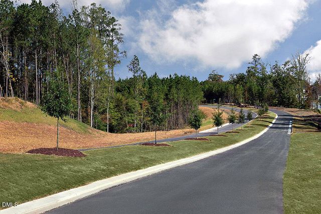 313 Diamond Bluff Lane, Holly Springs, NC 27540