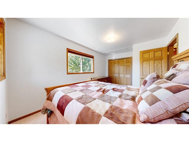 92 Four Bits St, Bailey, CO 80421