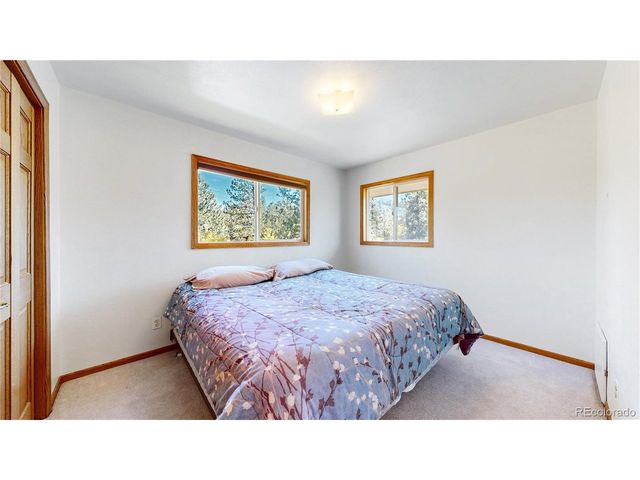 92 Four Bits St, Bailey, CO 80421