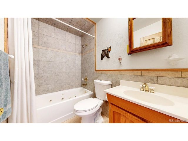 92 Four Bits St, Bailey, CO 80421