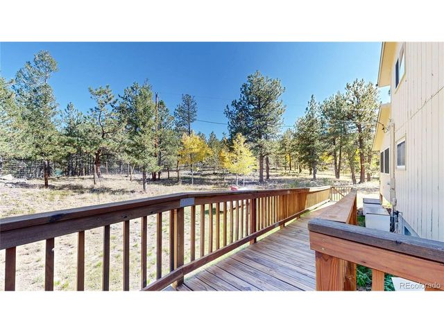 92 Four Bits St, Bailey, CO 80421