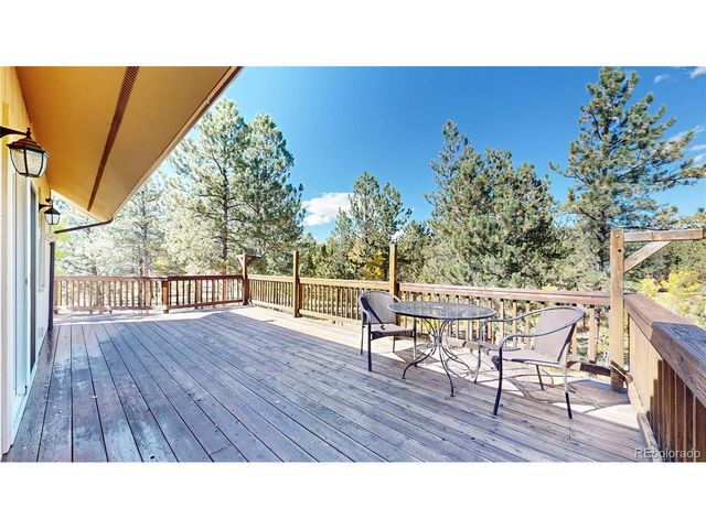 92 Four Bits St, Bailey, CO 80421