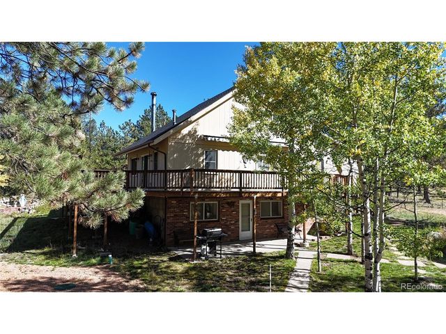 92 Four Bits St, Bailey, CO 80421