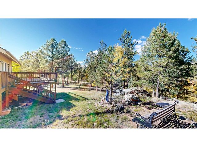 92 Four Bits St, Bailey, CO 80421