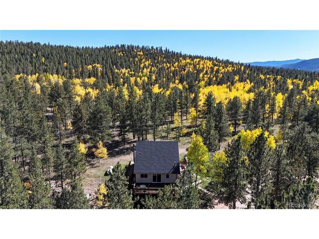 92 Four Bits St, Bailey, CO 80421