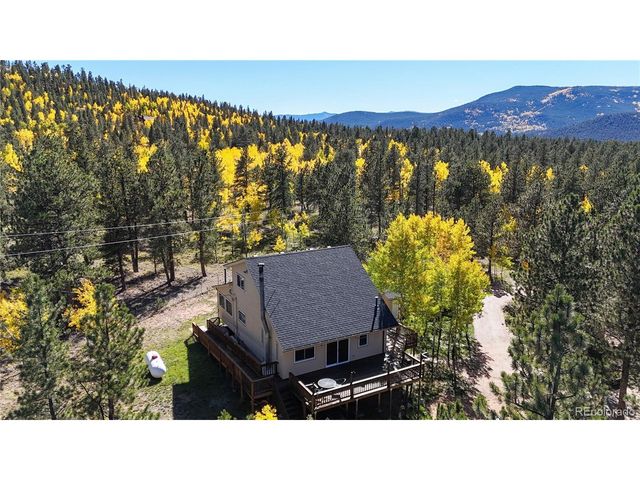 92 Four Bits St, Bailey, CO 80421