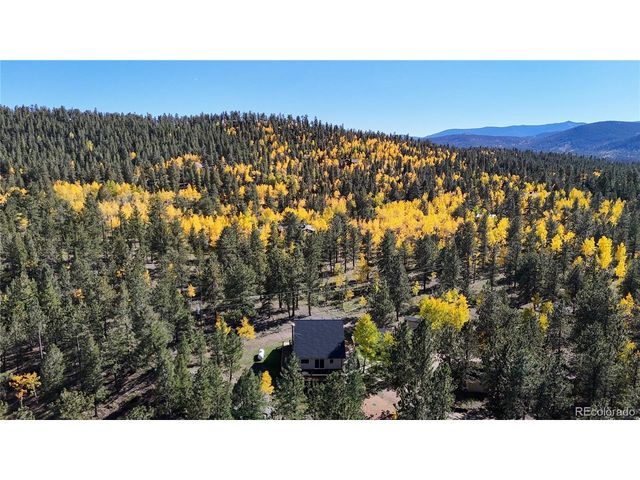 92 Four Bits St, Bailey, CO 80421