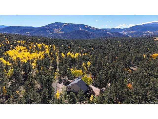 92 Four Bits St, Bailey, CO 80421