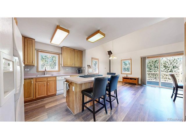 92 Four Bits St, Bailey, CO 80421