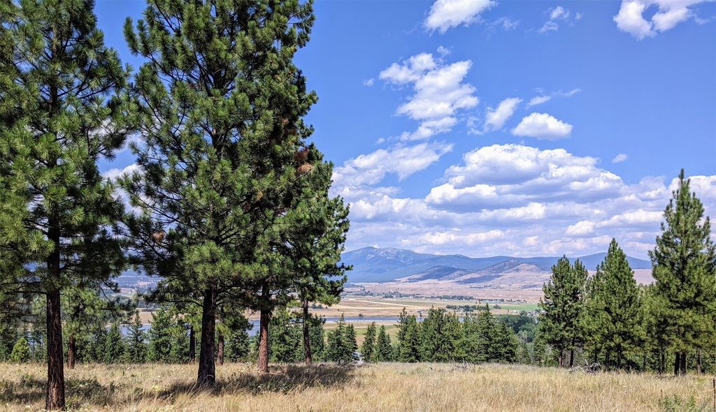 Image 1 of property listing at Lot 29 Leiber Road, Plains, MT 59859