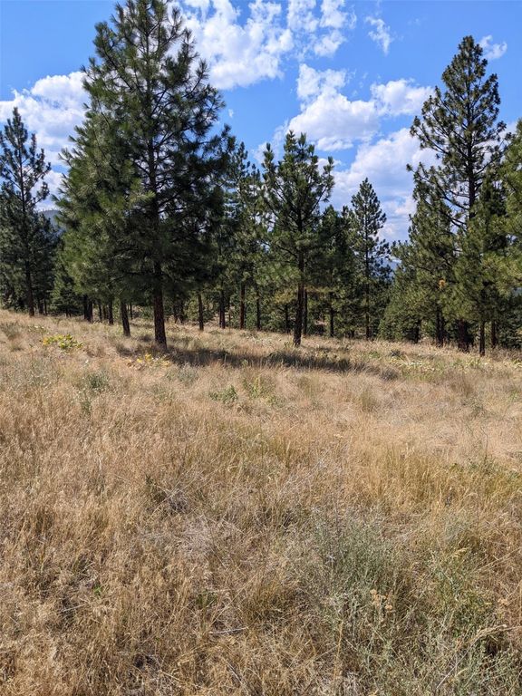 Image 3 of property listing at Lot 29 Leiber Road, Plains, MT 59859