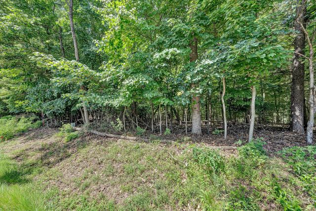 Lot 298 Upland Shores DR, Penhook, VA 24137