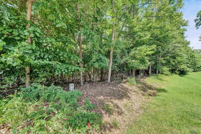 Lot 298 Upland Shores DR, Penhook, VA 24137