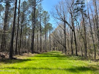 Ms-8, Calhoun City, MS 38916