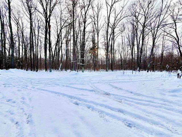 8404 N Dead Stream Road, Lyon Twp, MI 48653