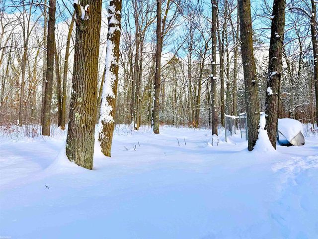 8404 N Dead Stream Road, Lyon Twp, MI 48653