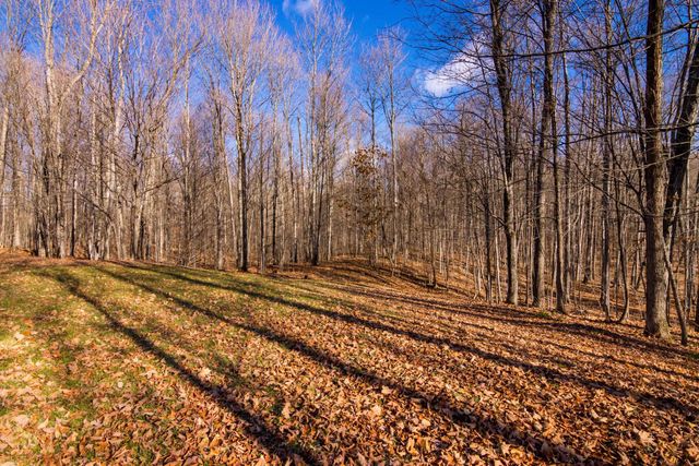 5877 E Lake Five Lane, Kalkaska, MI 49646