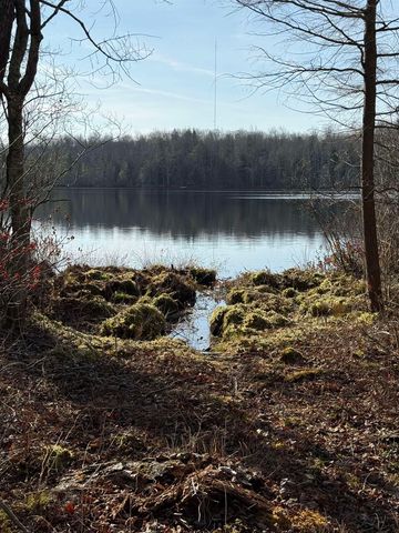 5877 E Lake Five Lane, Kalkaska, MI 49646