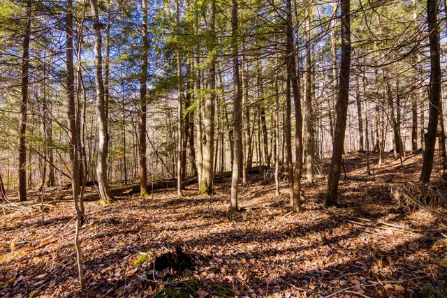 5877 E Lake Five Lane, Kalkaska, MI 49646