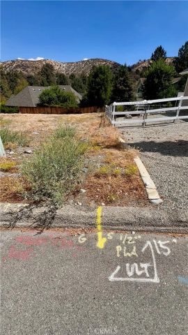 5419 Pacific Crest, Wrightwood, CA 92397