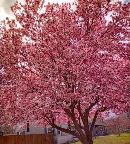 1934 W Lee Street, Springfield, MO 65803