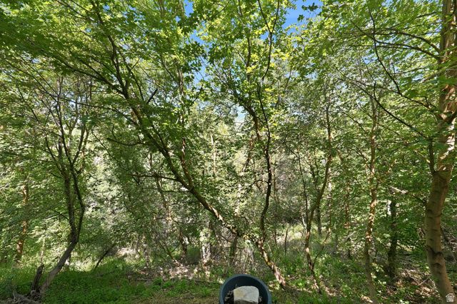 1979 S CAVE HOLLOW WAY, Bountiful, UT 84010
