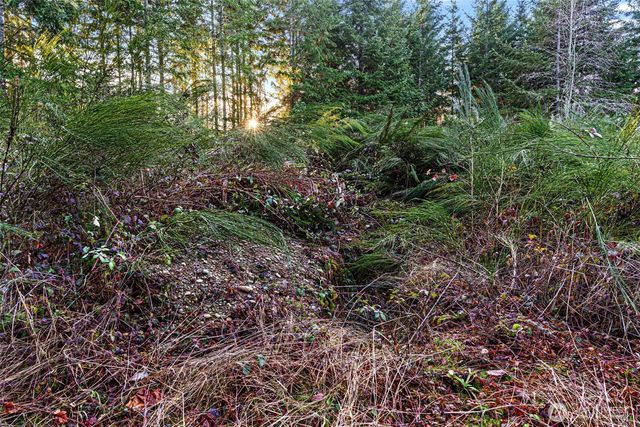 45 Whiteman Road SW, Lakebay, WA 98349