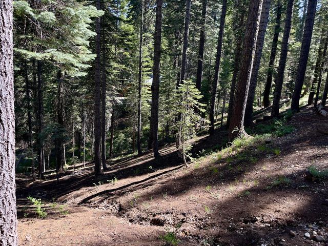 1743 Fiddleneck Rd, La Porte, CA 95981