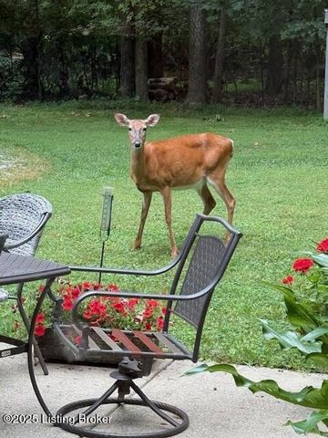 3203 Kings Ct, Bardstown, KY 40004