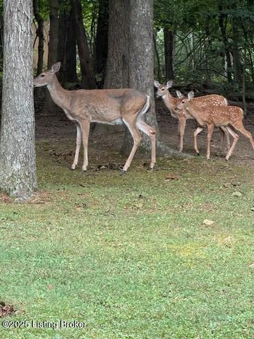 3203 Kings Ct, Bardstown, KY 40004