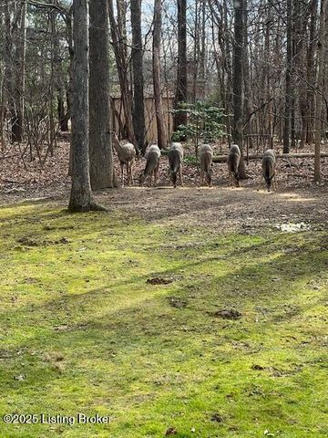 3203 Kings Ct, Bardstown, KY 40004