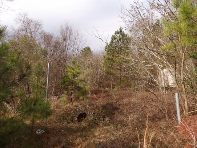 0 E 22nd Avenue, Phenix City, AL 36867