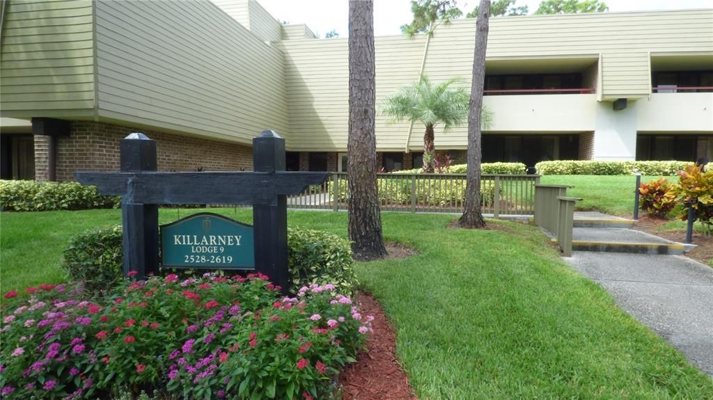 36750 US HIGHWAY 19 N 09122, Palm Harbor, FL 34683