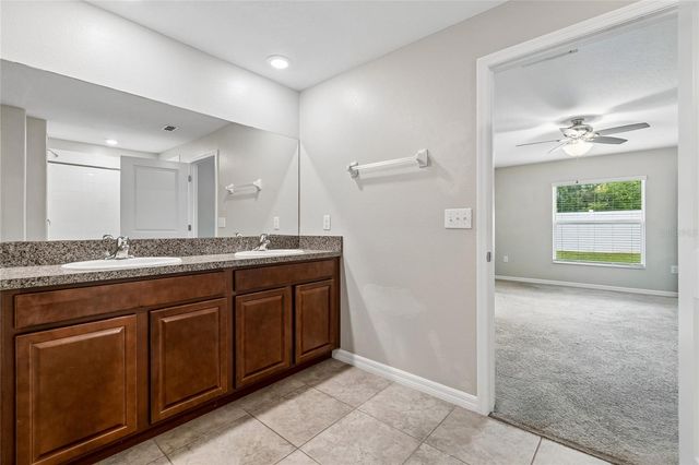 3706 CAT MINT STREET, Tampa, FL 33619