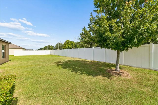 3706 CAT MINT STREET, Tampa, FL 33619
