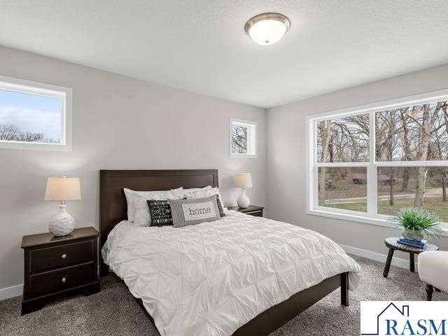 13 Kodiak Court, North Mankato, MN 56003