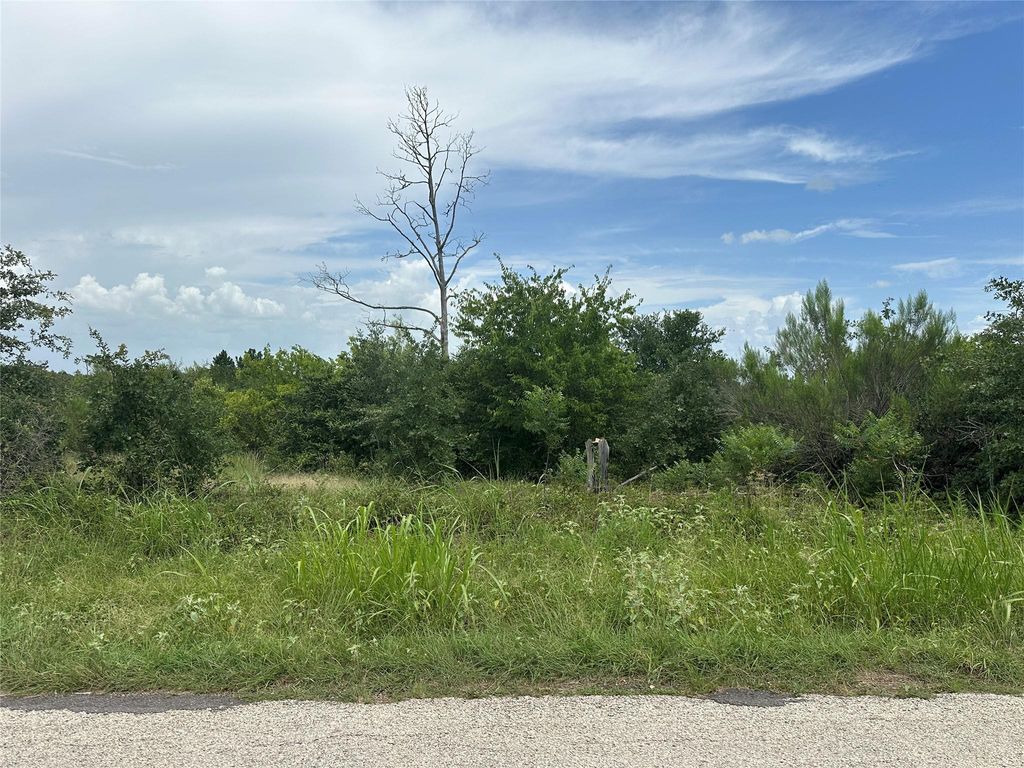 TBD McAllister RD, Bastrop, TX 78602
