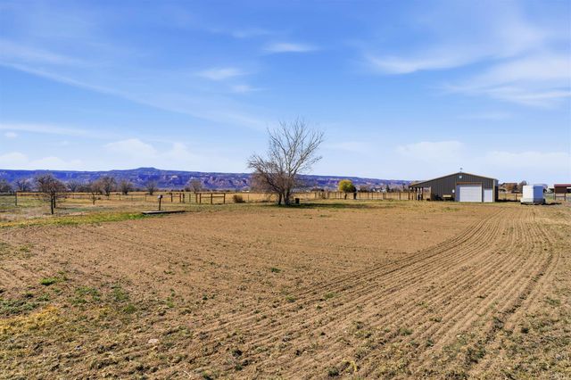1081 20 Road, Fruita, CO 81521